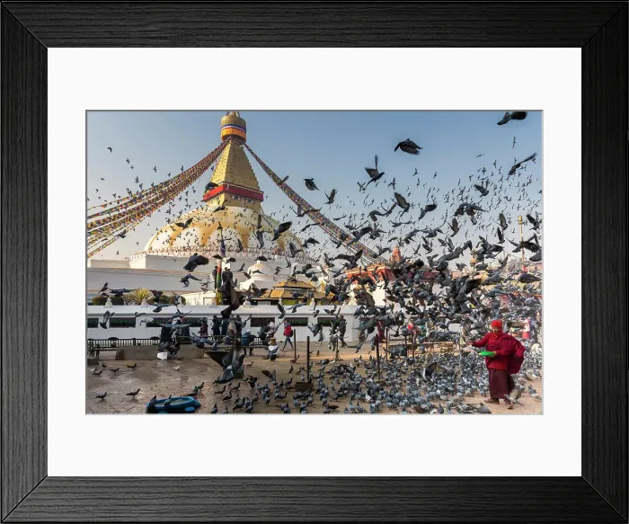 Framed Print : Monk feeding pidgeons at Boudhanath Stupa, Kathmandu, Nepal