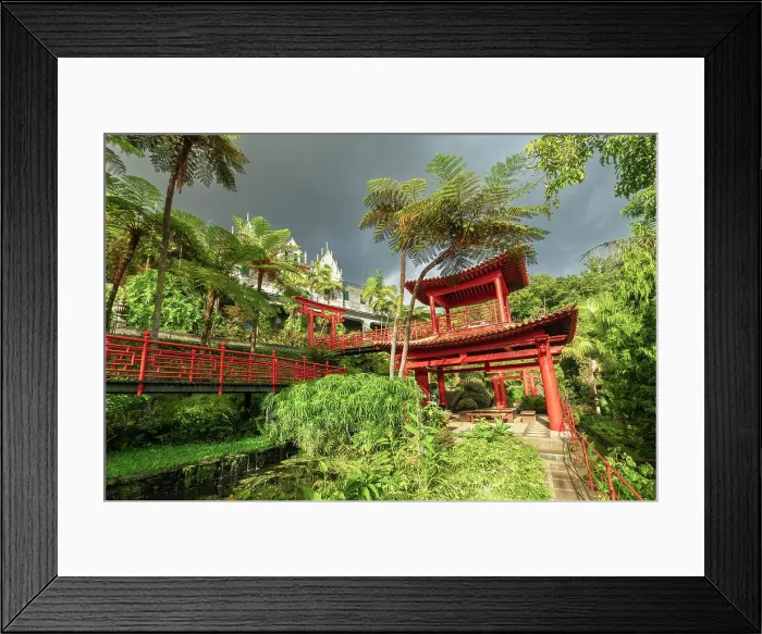 Framed Print : Red torii gate amidst plants at Oriental Gardens, Monte Palace Tropical Garden, Funchal, Madeira, Portugal Framed Print : Red torii gate amidst plants at Oriental Gardens, Monte Palace Tropical Garden, Funchal, Madeira, Portugal