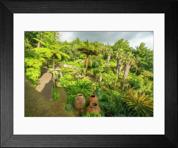 Framed Print : Green plants and trees at Monte Palace Tropical Garden, Funchal, Madeira, Portugal Framed Print : Green plants and trees at Monte Palace Tropical Garden, Funchal, Madeira, Portugal