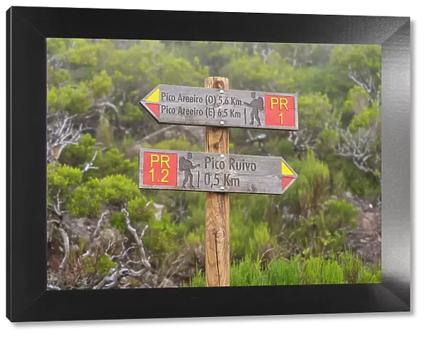 Trail signs showing directions to Pico Areeiro and Pico Ruivo, Santana, Madeira, Portugal