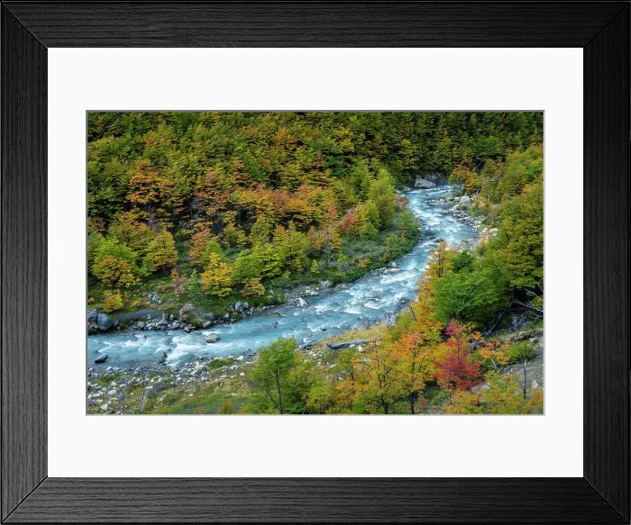 Framed Print : River winding through beech forest in autumn, Torres del Paine National Park, Chile Framed Print : River winding through beech forest in autumn, Torres del Paine National Park, Chile