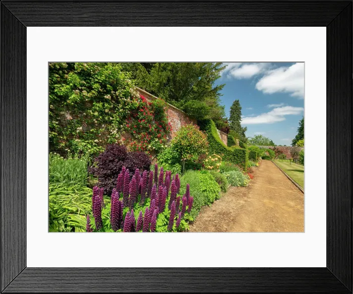Framed Print : Walled Garden, Bowood House & Gardens, Derry Hill, Calne, Wiltshire, England Framed Print : Walled Garden, Bowood House & Gardens, Derry Hill, Calne, Wiltshire, England