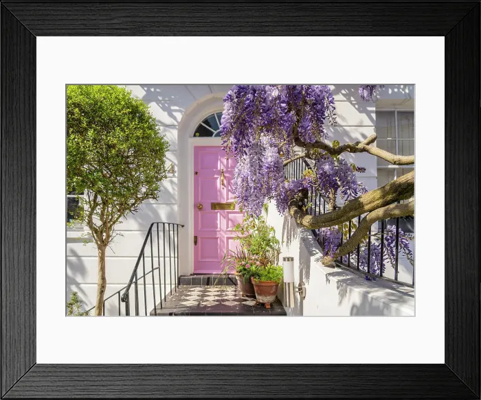Framed Print : Door and wisteria, Kensington, London, England, UK