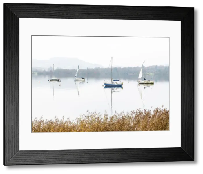 Framed Print : Sailing boats reflected in Windermere on a misty autumnal morning, Lake District National Park, Cumbria, England Framed Print : Sailing boats reflected in Windermere on a misty autumnal morning, Lake District National Park, Cumbria, England