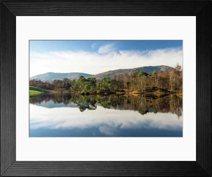 Framed Print : Tarn Hows reflections, Lake District National Park, Cumbria, England Framed Print : Tarn Hows reflections, Lake District National Park, Cumbria, England