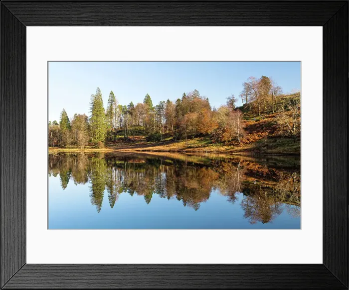 Framed Print : Tarn Hows reflections, Lake District National Park, Cumbria, England Framed Print : Tarn Hows reflections, Lake District National Park, Cumbria, England
