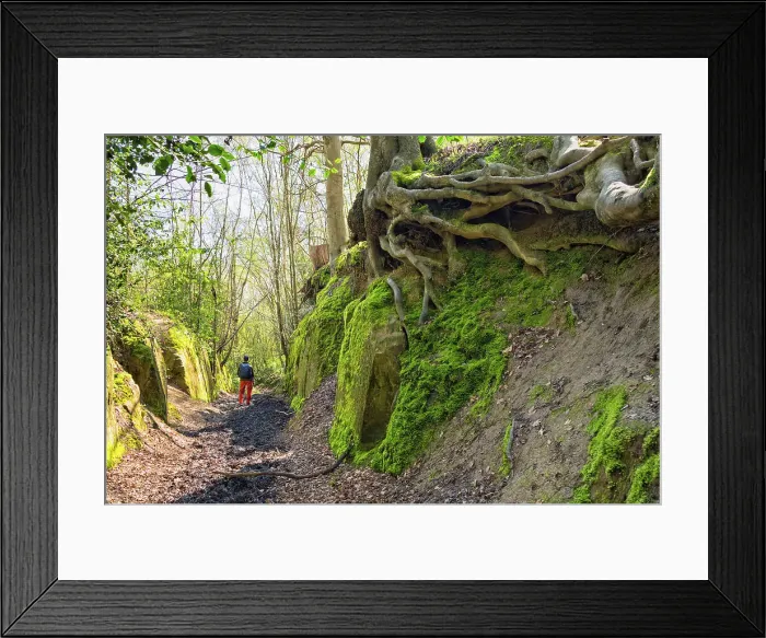 Framed Print : A holloway (sunken lane) in Kent, England