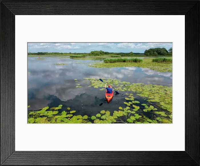 Framed Print : Kayaker on Rockland Broad, Norfolk Broads National Park, Norfolk, England Framed Print : Kayaker on Rockland Broad, Norfolk Broads National Park, Norfolk, England