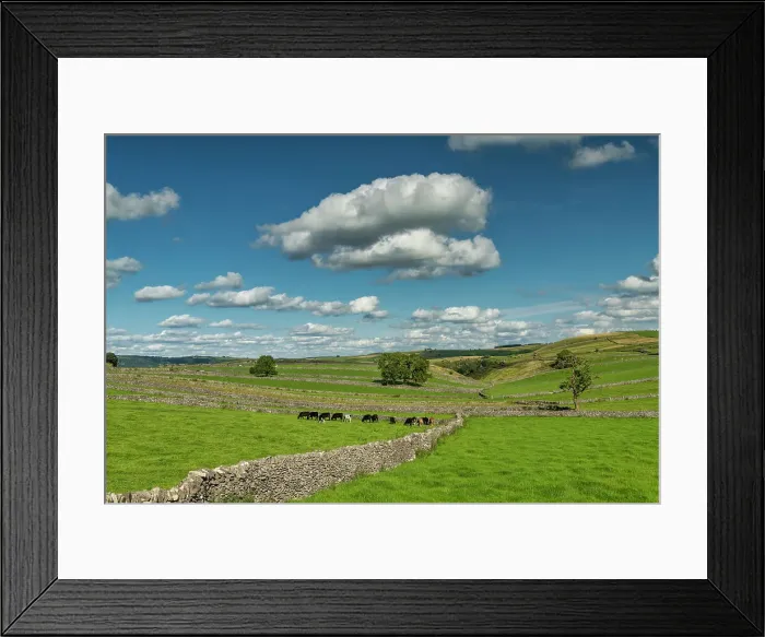 Framed Print : Stone Wall Leading to Grazing Cows, Litton, Peak District National Park, Derbyshire, England Framed Print : Stone Wall Leading to Grazing Cows, Litton, Peak District National Park, Derbyshire, England