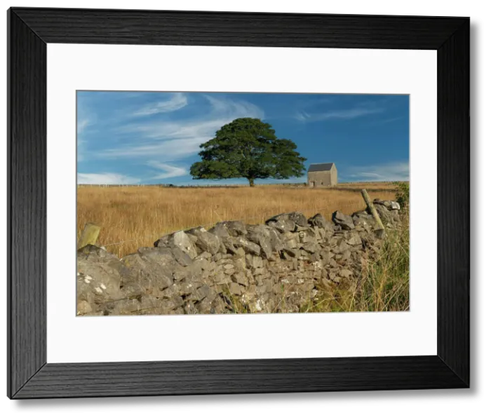 Framed Print : Stone Barn & Tree, Tidesdale, Peak District National Park, Derbyshire, England Framed Print : Stone Barn & Tree, Tidesdale, Peak District National Park, Derbyshire, England