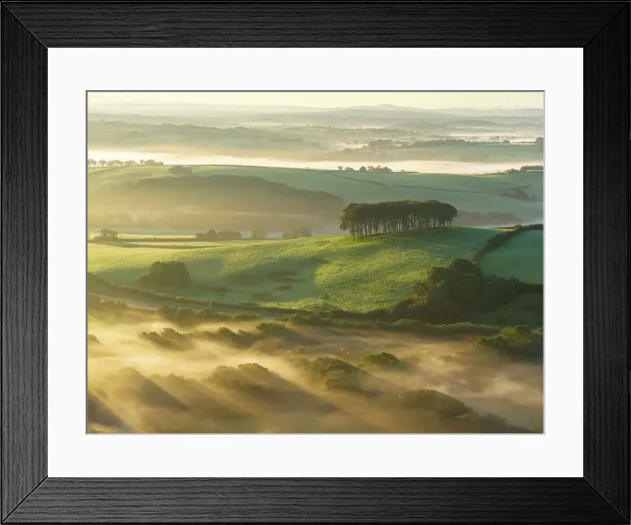 Framed Print : Misty morning at Cookworthy Knapp (the Nearly Home Trees) near Lifton in Devon, England. Autumn (September) 2023 Framed Print : Misty morning at Cookworthy Knapp (the Nearly Home Trees) near Lifton in Devon, England. Autumn (September) 2023