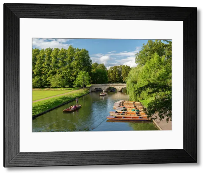 Framed Print : Punting on the River Cam in the University city of Cambridge, Cambridgeshire, England. Autumn (September) 2023