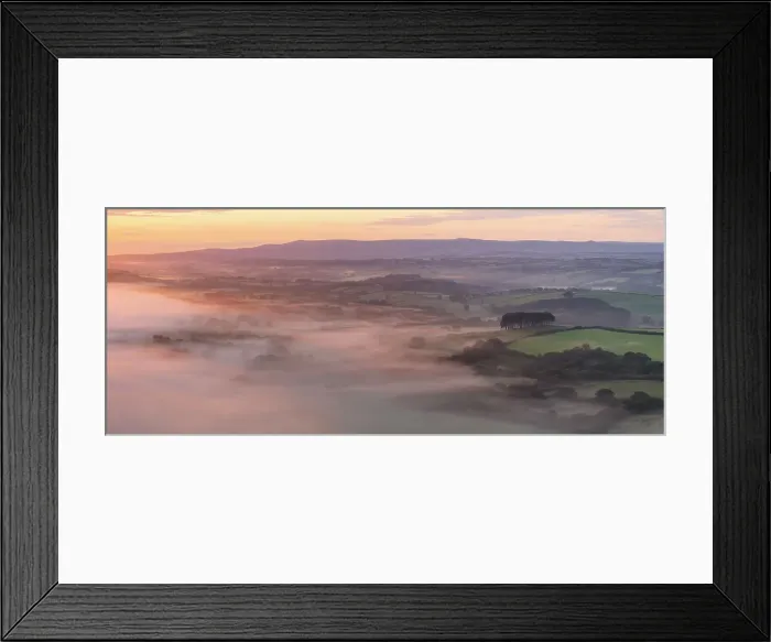 Framed Print : Dawn mist over summer landscape near Cookworthy Knapp (Nearly Home Trees), Lifton, Devon, England. Summer (July) 2023