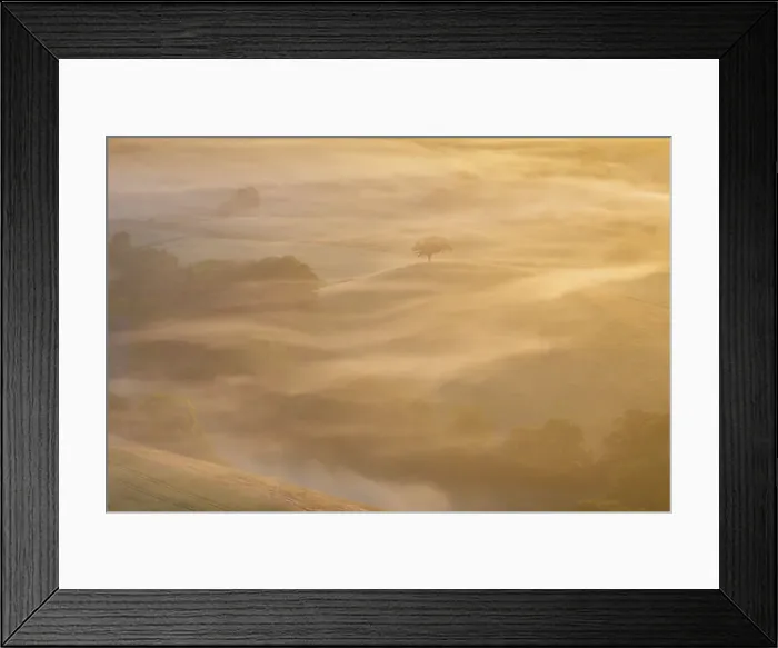 Framed Print : Hilltop tree surrounded by swirling mist at dawn, Devon, England. Summer (June) 2023