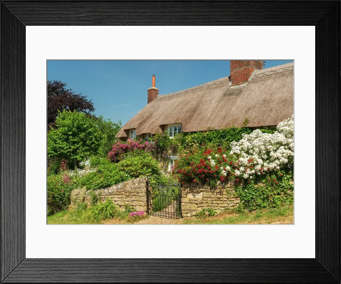 Framed Print : Idyllic thatched cottage and colourful flower garden in the village of Powerstock, Dorset, England. Summer (June) 2023 Framed Print : Idyllic thatched cottage and colourful flower garden in the village of Powerstock, Dorset, England. Summer (June) 2023