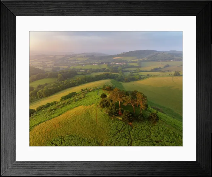 Framed Print : Aerial view of Colmer's Hill at dawn on a summer morning, West Dorset, England. Summer (June) 2023 Framed Print : Aerial view of Colmer's Hill at dawn on a summer morning, West Dorset, England. Summer (June) 2023