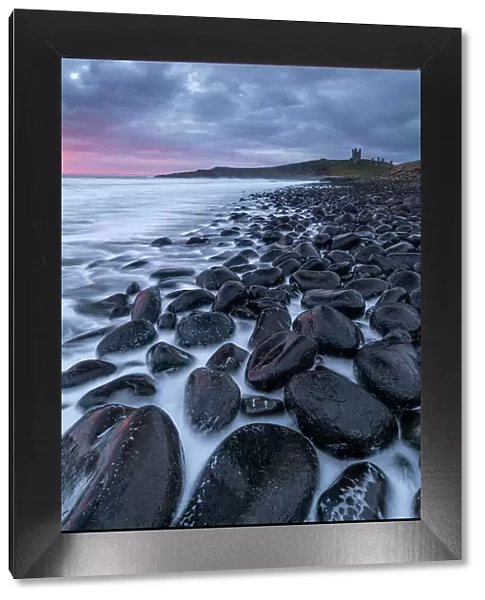 Moody dawn sky over Dunstanburgh Castle from the boulder strewn shore of Embleton Bay, Northumberland, England. Spring (March) 2023