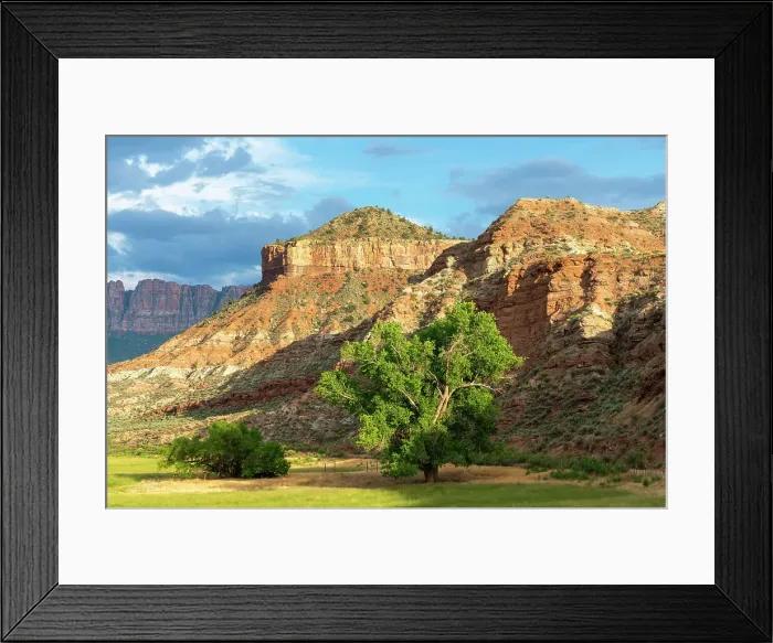 Framed Print : Meadow and rocks along Merced River near Rockville, Washington County, Utah, USA Framed Print : Meadow and rocks along Merced River near Rockville, Washington County, Utah, USA