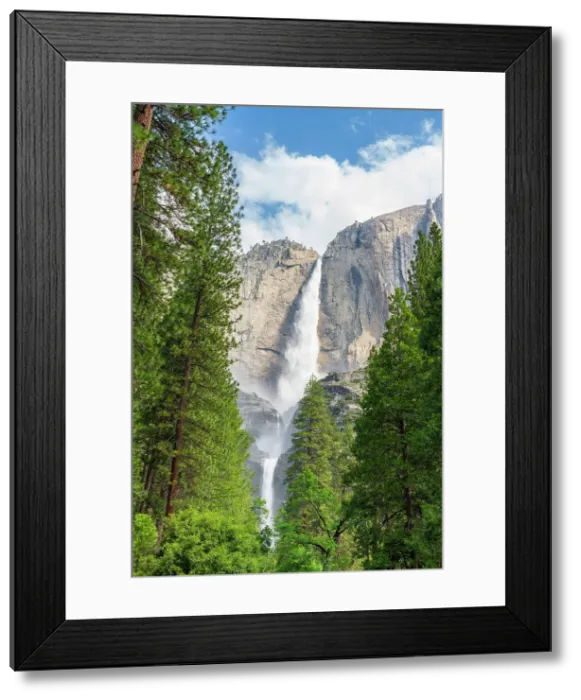 Framed Print : Upper and Lower Yosemite Falls, Yosemite National Park, UNESCO, Sierra Nevada, California, USA Framed Print : Upper and Lower Yosemite Falls, Yosemite National Park, UNESCO, Sierra Nevada, California, USA