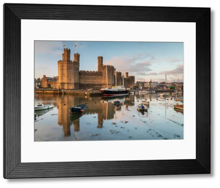 Framed Print : Caernarfon Castle, reflected in the Afon Seiont, Caernarfon, Snowdonia, Wales. Spring (May) 2023 Framed Print : Caernarfon Castle, reflected in the Afon Seiont, Caernarfon, Snowdonia, Wales. Spring (May) 2023