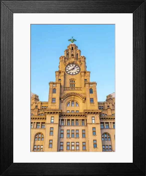 Framed Print : Royal Liver Building, Liverpool, Merseyside, England, UK