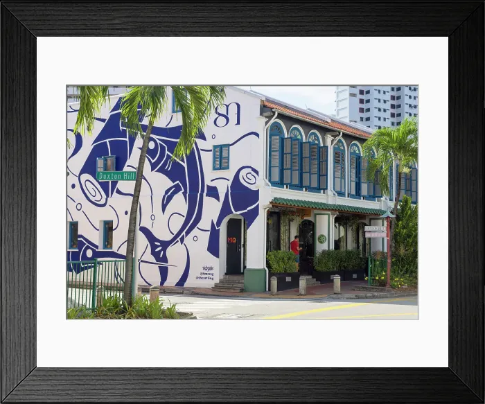 Framed Print : Traditional Peranakan shophouses, Tanjong Pagar, Singapore Framed Print : Traditional Peranakan shophouses, Tanjong Pagar, Singapore