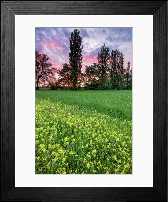 Framed Print : Switzerland, Canton St. Gallen, Gemeinde Thal, Nature reserve Framed Print : Switzerland, Canton St. Gallen, Gemeinde Thal, Nature reserve