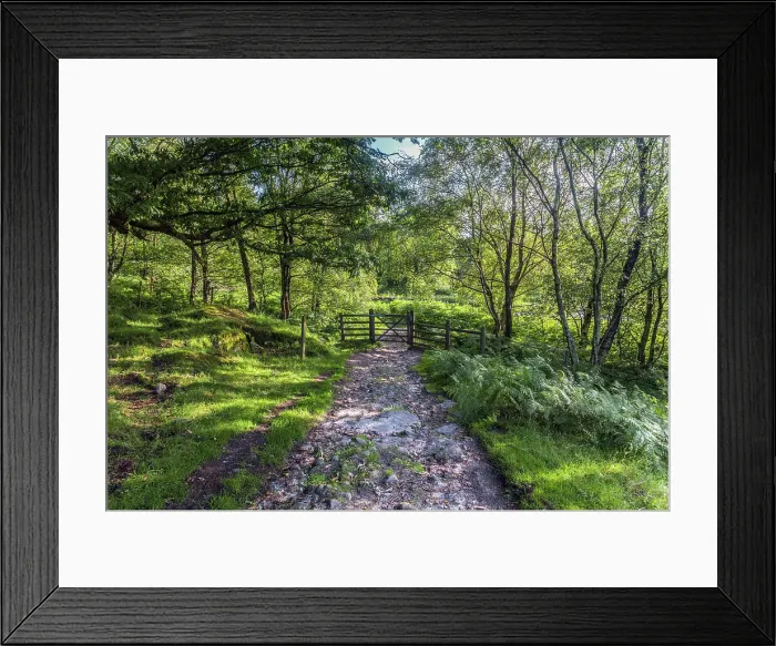 Framed Print : UK, England, Derbyshire, Peak District National Park, High Peak, Burbage Edge, Gate Framed Print : UK, England, Derbyshire, Peak District National Park, High Peak, Burbage Edge, Gate