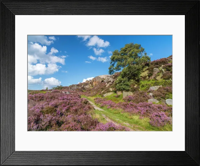 Framed Print : UK, England, Derbyshire, Peak District National Park, High Peak, Burbage Edge Framed Print : UK, England, Derbyshire, Peak District National Park, High Peak, Burbage Edge
