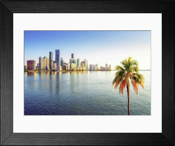Framed Print : USA, Miami, Florida, Downtown Skyline, Biscayne Bay, Palm Tree, Morning Framed Print : USA, Miami, Florida, Downtown Skyline, Biscayne Bay, Palm Tree, Morning