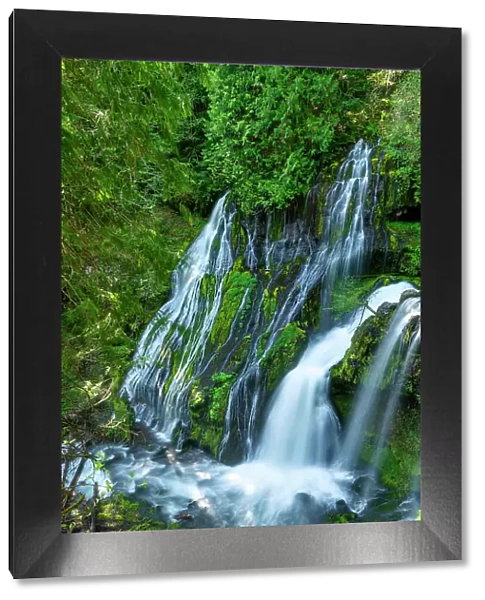 Panther Creek Falls, Gifford Pinchot National Forest, Washington State, USA