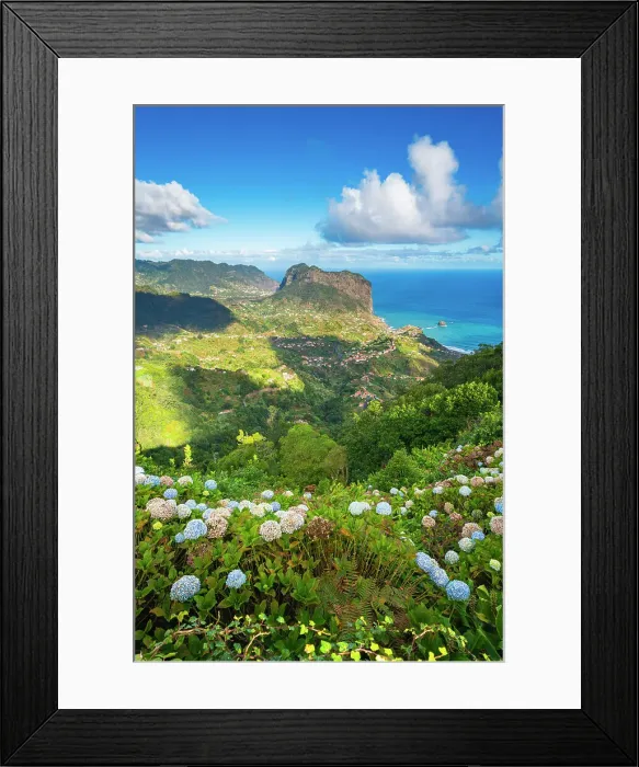 Framed Print : Distant view of Porto da Cruz and hydrangea flowers in foreground, Machico, Madeira, Portugal Framed Print : Distant view of Porto da Cruz and hydrangea flowers in foreground, Machico, Madeira, Portugal