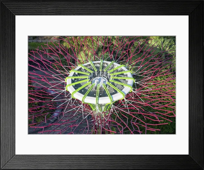 Framed Print : Supertree in Gardens by the Bay, Singapore Framed Print : Supertree in Gardens by the Bay, Singapore