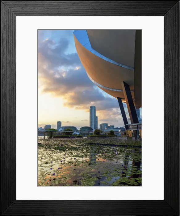 Framed Print : ArtScience Museum at sunset, Singapore Framed Print : ArtScience Museum at sunset, Singapore