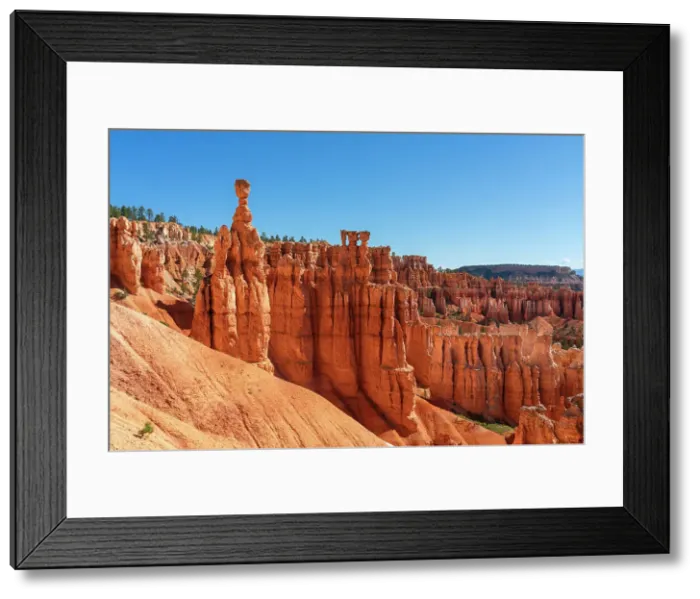 Framed Print : Thor's Hammer rock formation taken from Navajo Loop Trail, Bryce Canyon National Park, Utah, USA