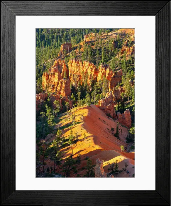 Framed Print : Hoodoos in Bryce Canyon, Sunrise Point, Bryce Canyon National Park, Utah, USA Framed Print : Hoodoos in Bryce Canyon, Sunrise Point, Bryce Canyon National Park, Utah, USA