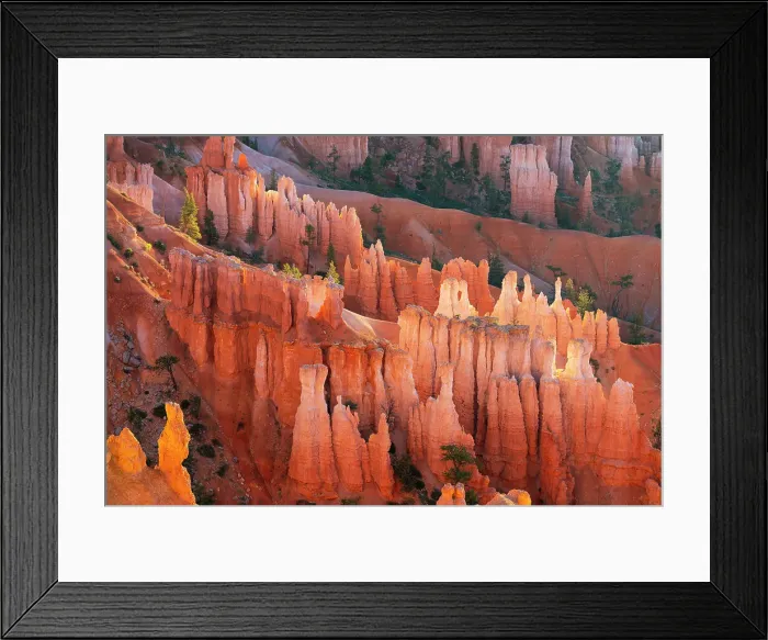 Framed Print : Detail of hoodoos, Sunset Point, Bryce Canyon National Park, Utah, USA Framed Print : Detail of hoodoos, Sunset Point, Bryce Canyon National Park, Utah, USA