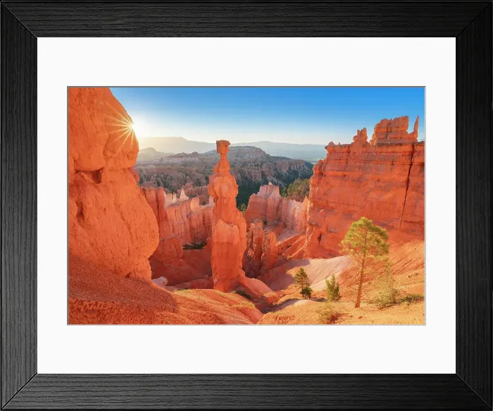 Framed Print : Thor's Hammer taken from Navajo Loop Trail at sunrise, Bryce Canyon National Park, Utah, USA Framed Print : Thor's Hammer taken from Navajo Loop Trail at sunrise, Bryce Canyon National Park, Utah, USA