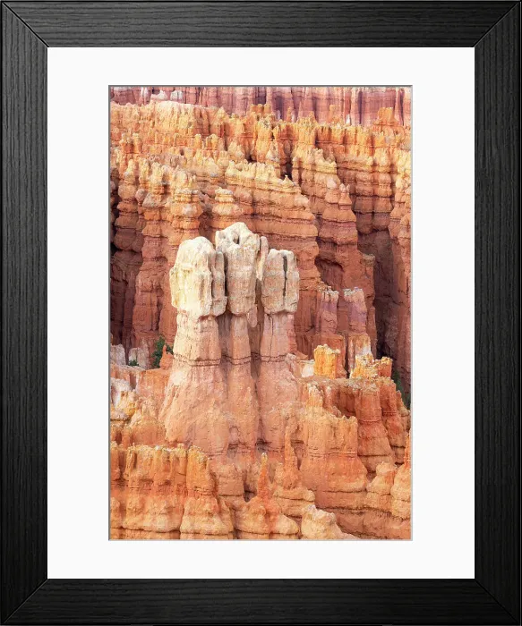Framed Print : Detail of hoodoos, Inspiration Point, Bryce Canyon National Park, Utah, USA Framed Print : Detail of hoodoos, Inspiration Point, Bryce Canyon National Park, Utah, USA