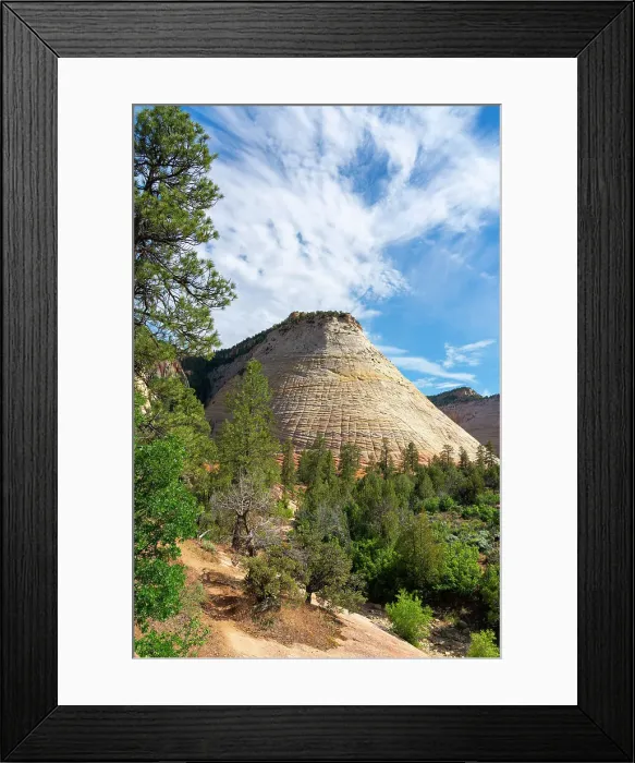 Framed Print : Checkerboard Mesa, Zion National Park, Kane County, Utah, USA Framed Print : Checkerboard Mesa, Zion National Park, Kane County, Utah, USA