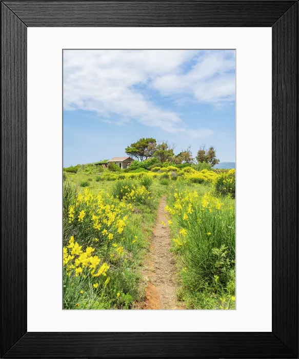 Framed Print : Vardiani Island also known as Rabbit Island, Kefalonia, Ionian Islands, Greek Islands, Greece Framed Print : Vardiani Island also known as Rabbit Island, Kefalonia, Ionian Islands, Greek Islands, Greece