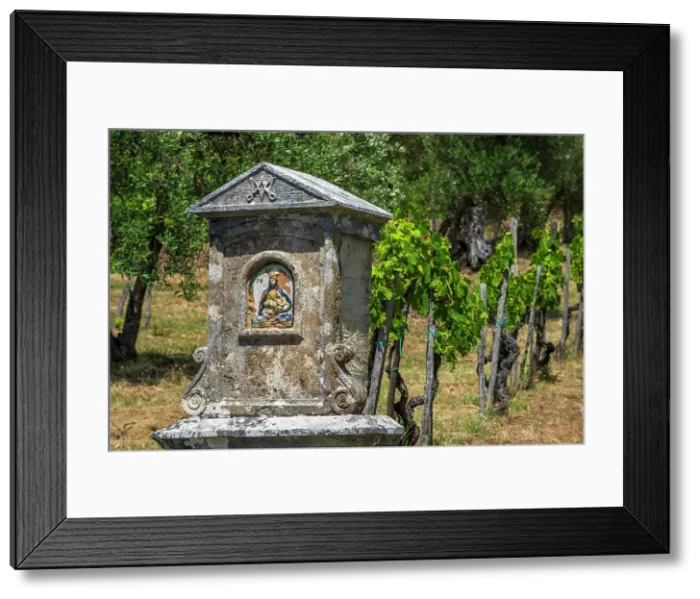 Framed Print : Italy, Tuscany. A little Madonna shrine in a vineyard in the Chianti area near to Castelnuovo Berardenga Framed Print : Italy, Tuscany. A little Madonna shrine in a vineyard in the Chianti area near to Castelnuovo Berardenga