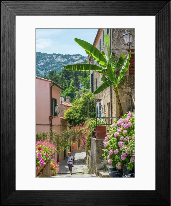 Framed Print : Italy, Tuscany, Elba. A street scene in the picturesque village of Poggio, little village in Western Elba Framed Print : Italy, Tuscany, Elba. A street scene in the picturesque village of Poggio, little village in Western Elba