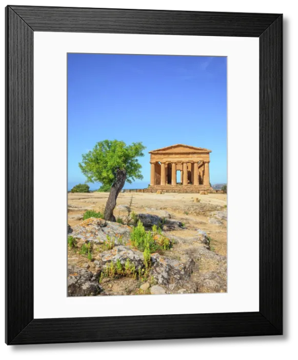 Framed Print : Temple of Concordia, Valley of Temples, Agrigento, Sicily, Italy Framed Print : Temple of Concordia, Valley of Temples, Agrigento, Sicily, Italy