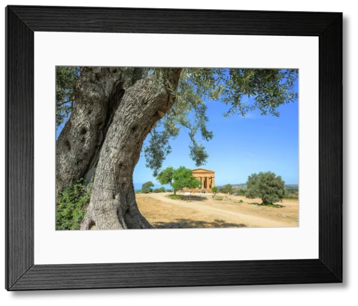 Framed Print : Temple of Concordia, Valley of Temples, Agrigento, Sicily, Italy Framed Print : Temple of Concordia, Valley of Temples, Agrigento, Sicily, Italy