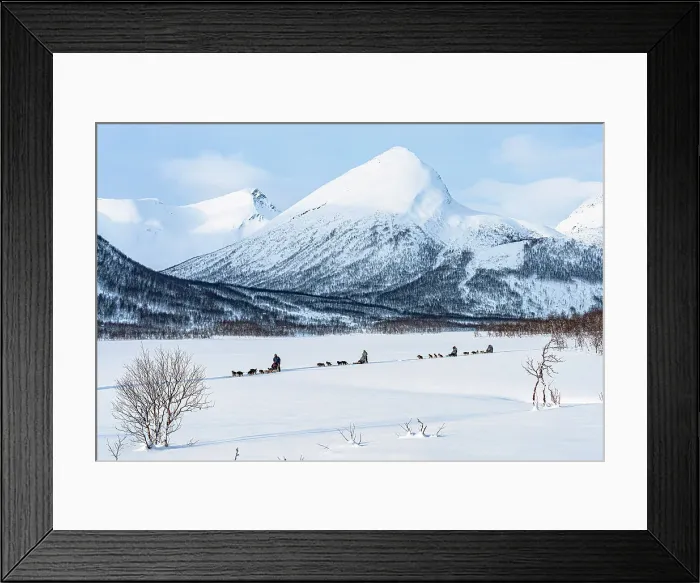 Framed Print : Dog sleds crossing the frozen snowy landscape in winter, Lyngen Alps, Tromso, Troms og Finnmark, Norway Framed Print : Dog sleds crossing the frozen snowy landscape in winter, Lyngen Alps, Tromso, Troms og Finnmark, Norway