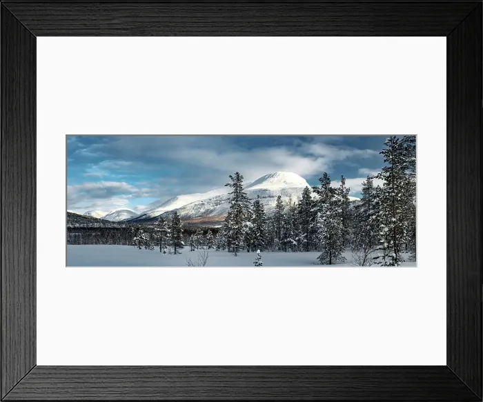 Framed Print : Panoramic of the snowcapped mountains of Lyngen Alps surrounded by woods in winter, Tromso, Troms og Finnmark, Norway Framed Print : Panoramic of the snowcapped mountains of Lyngen Alps surrounded by woods in winter, Tromso, Troms og Finnmark, Norway