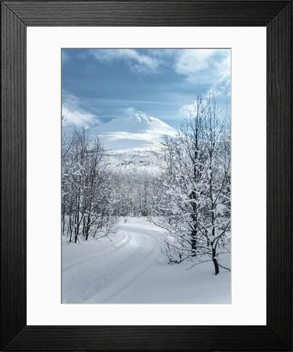 Framed Print : Empty snowy road into a frozen forest, Lyngen Alps, Tromso, Troms og Finnmark, Norway Framed Print : Empty snowy road into a frozen forest, Lyngen Alps, Tromso, Troms og Finnmark, Norway