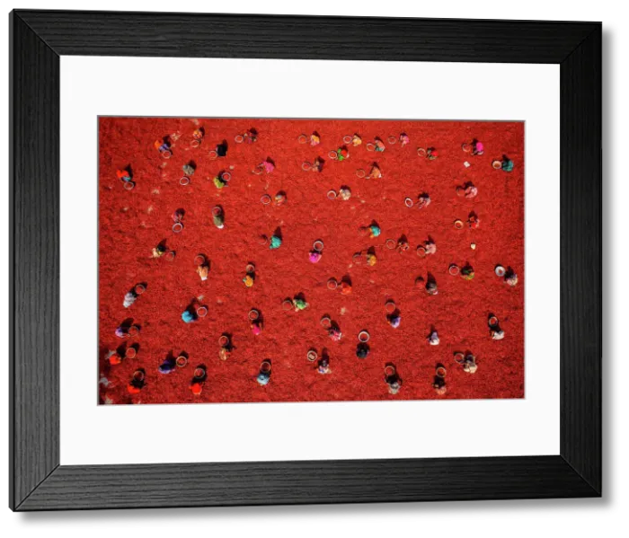 Framed Print : Aerial view of people working in a small farm collecting red chillies In a field, Bogura, Rajshahi province, Bangladesh
