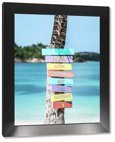 Colorful beach signs on palm tree on a tropical beach, Antigua, Antigua & Barbuda, Caribbean, West Indies